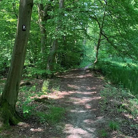 Apartment Amselnest *