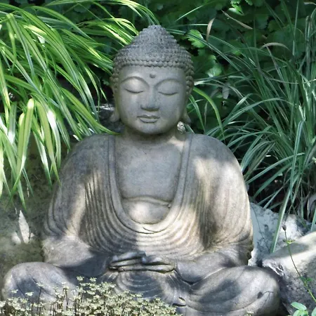 Amselnest Apartment *